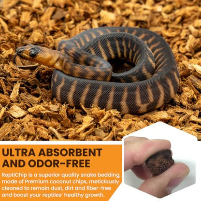 BabiChip Coconut Chip Substrate for Reptiles 12 Quart Loose Small Sized Coco Husk Chip Bedding for Ball Pythons, Other Snakes, Tortoises, Geckos, Frogs, or Lizard Terrarium Tanks - size: 12 Quart
