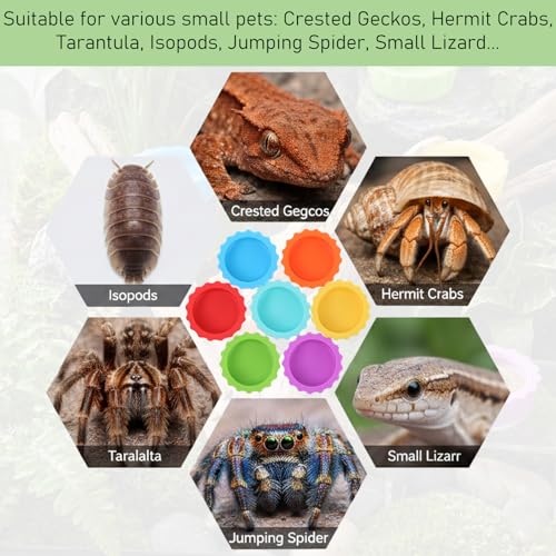 9 PCS Crested Gecko Food and Water Bowl Reusable Small Reptile Feeding Dish Gecko Tank Accessories for Hermit Crab Tarantula Isopods Lizard Easy Clean Silicone 7 Colors Includes Spoon