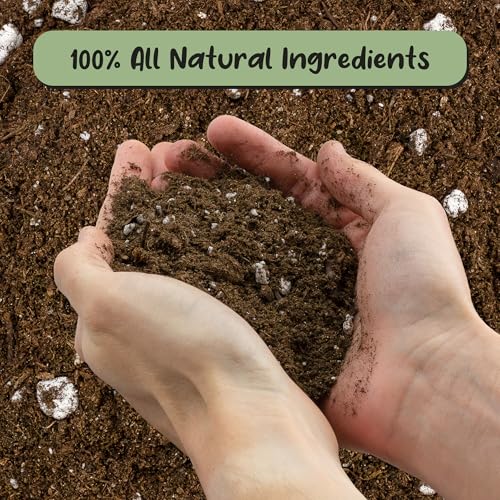Soil Sunrise Elephant Ear Potting Soil Mix (8 Quarts) Colocasia and Alocasia Potted Plant Blend