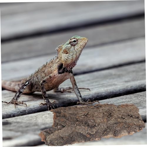 ORFOFE Natural Cork Bark Reptile Climbing Platform 4-Pack Terrarium Decor Reptile Hide for Snakes Lizards Small Pet Habitat Accessories