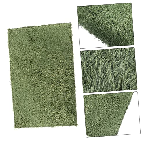 UKCOCO Realistic Sphagnum Moss Reptile Mat 2 Pack Reptile Bedding Habitat Carpet Gecko Pad Insect Bedding