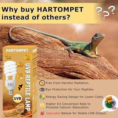 UVB 10.0 Reptile Light 13W, Compact Fluorescent Lamp，Coil UVB Desert Bulb–Lighting for Bearded Dragons, Lizards, Tortoises, Snakes, Geckos, Amphibians & Small Reptile Tanks
