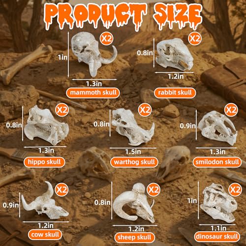 Exasinine 16 Pcs Mini Resin Animal Skull Heads Figurines 1.5 Inch Mini Skulls Figurines Highly Detailed Miniature Animal Skull for Halloween Crafts Gothic Decor Terrarium Micro Landscape Decor