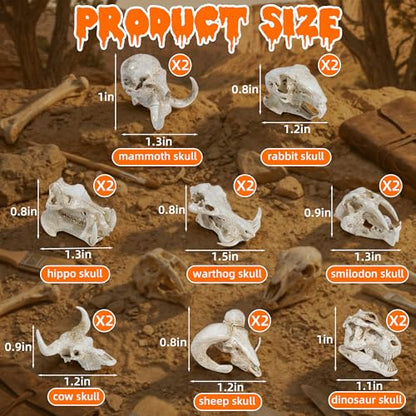 Exasinine 16 Pcs Mini Resin Animal Skull Heads Figurines 1.5 Inch Mini Skulls Figurines Highly Detailed Miniature Animal Skull for Halloween Crafts Gothic Decor Terrarium Micro Landscape Decor