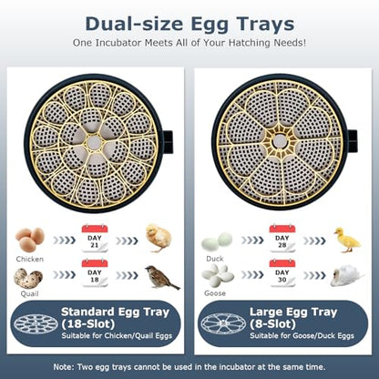 Incubators for Hatching Eggs, 18 Eggs Incubator with Egg Candler, Auto Egg Turner, Temp & Humidity Control, Hatch Day, Auto Water Refill, 2 Size Egg Tray, 360° Viewing for Chicken, Duck, Quail - size: 18 Chicken Eggs