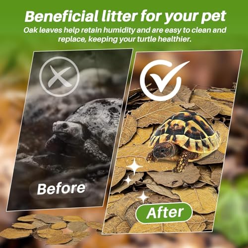 MAQIHAN 7 OZ Dry Oak Leaf Litter - Leaf Litter for Reptiles Oak Leaves for Isopods Live Substrate for Snakes, Frogs, Isopods, Terrarium Bedding - size: 7 OZ