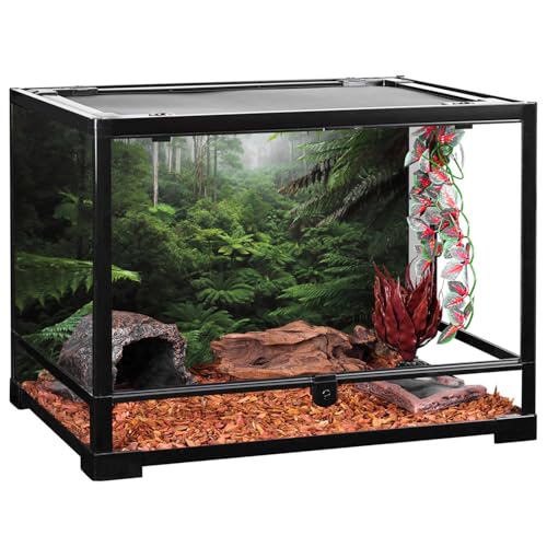 AWERT Foggy Forest Terrarium Background Green Tree Reptile Habitat Background Tropical Rainforest Aquarium Background 72x24 inches Polyester Background - size: 72x24in/180x60cm