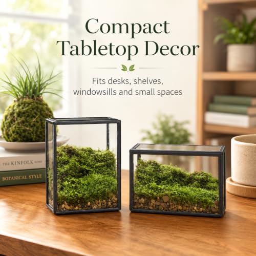 Mini Glass Terrarium Set of 2 with Lid, Tiny Rectangle Glass Succulent Terrarium Containers for Air Plants, Moss & Fairy Garden, Black Framed Tabletop Plant Holder, 4 x 2.8 x 2.4 & 2.8 x 2.4 x 4 in - color: Black
