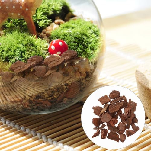 Tree Bark Base Material for DIY Model Scenes Lightweight Natural Miniature Nature Decor 1.96X1.18X0.19In Essential Architecture Model Supplies for Terrariums and Train Sets