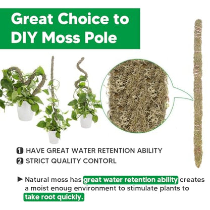 Natural Long Fiber Sphagnum Moss 34QT for Orchid Potting Mix, and Moss Pole for Plants Indoor. Ideal for Propagating Plants, Maintaining Humidity for Reptiles, Isopods in Paludarium, Aquascape (10 OZ)