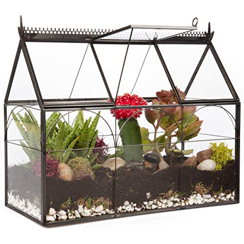 D'Eco Glass Greenhouse Centerpiece (10x4.5x9) - Spring Home Decor & Wedding Letterbox - Tabletop Geometric Planter Terrarium - Fill with Succulents, Moss, Flowers for Plant Lovers - size: Greenhouse