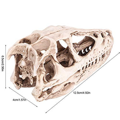 CHICIRIS Resin Dinosaur Skull, Detailed Skeleton Model Statue for Aquarium, Terrarium, Fish Tank Decor ¨C Perfect for Home, Office, Classroom or Aquarium Enthusiasts