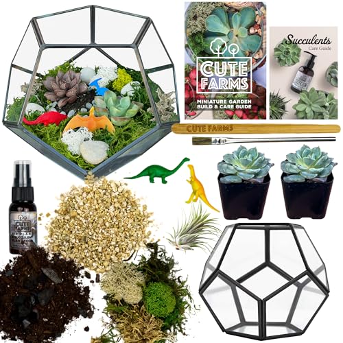 Cute Farms Glass Terrarium Kit | Just Add Your Own Plants (Geometric Glass + Live Plants) - style: Geometric Glass + Live Plants