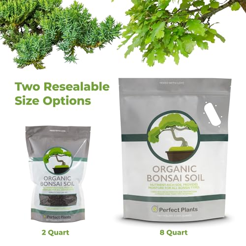 Bonsai Soil by Perfect Plants - 8qts. Premium All-Purpose Mix | Perfect for Several Bonsai Tree Plants | Made in Small Batches in the USA - size: 8qts.