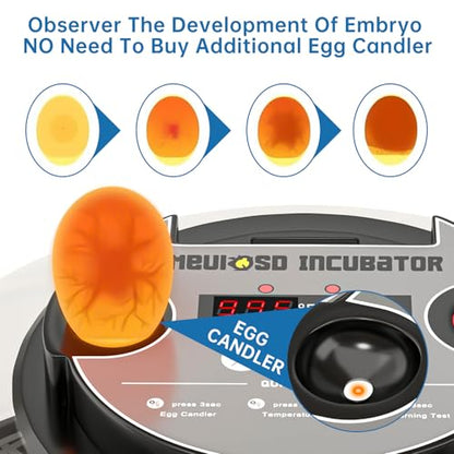 12-24 Egg Incubator with Humidity Display, Egg Candler, Automatic Egg Turner, for Hatching Chickens Duck Quail Parrot - color: Red