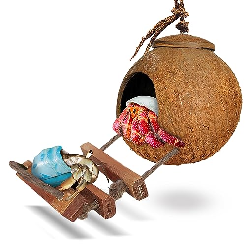 SunGrow Hermit Crab Coco Hut with Ladder, Hamster & Hermit Crab Hideout, Coconut Hide for Reptiles, Crab Cage Climbing Toys, Coconut Shell Mouse House, Habitat Tank Accessories, 5"