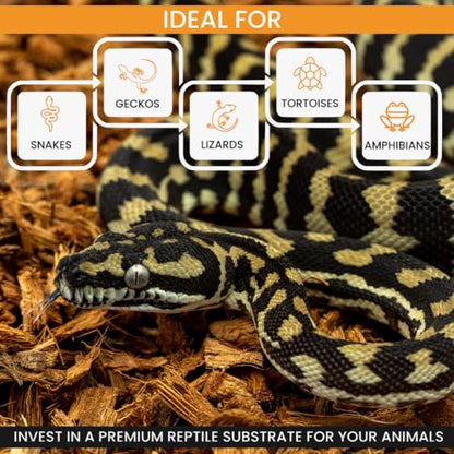 BabiChip Coconut Chip Substrate for Reptiles 12 Quart Loose Small Sized Coco Husk Chip Bedding for Ball Pythons, Other Snakes, Tortoises, Geckos, Frogs, or Lizard Terrarium Tanks - size: 12 Quart