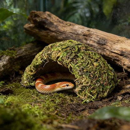 Reptile Hide Coconut Leopard Gecko Hide Humid Crested Gecko Tank Accessories Natural Moss Snake Hideouts for Bearded Dragon,Tortoise,Frog