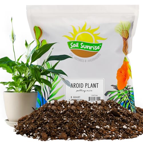 Soil Sunrise Aroid Plant Potting Soil Mix (8 Quarts) for Pothos Devil's Ivy, ZZ Plant, Chinese Evergreen, Dumb Cane Philodendron, Syngonium, Alocasia, Colocasia Etc.