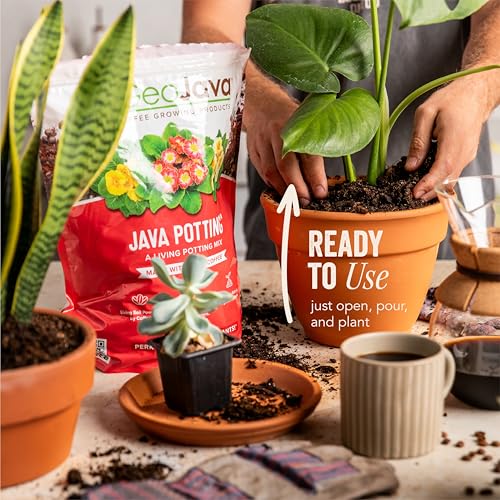 Java Potting Soil: A Well Draining, Coffee‑Infused Living Indoor Mix Ready to Grow. for All Monstera, Calathea, Fiddle Leaf Fig, ZZ, Snake, Spider and Pothos Plants; with Chunky Vermiculite. 6 (QT)