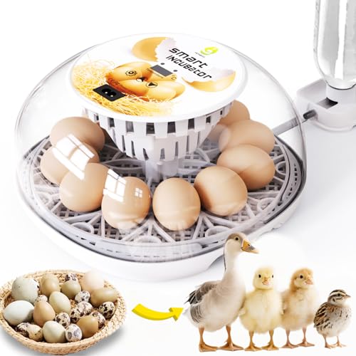 Egg Incubators for Hatching Eggs Chicken Eggs Incubator for Hatching Eggs Incubator with Automatic Egg Turner and Temperature Control for Chicken, Duck, Quail 12 Eggs
