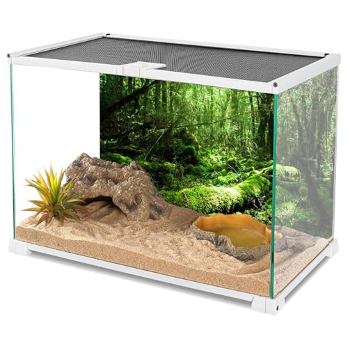AWERT 24x16 inches Tropical Terrarium Background Rainforest Aquarium Background Green Tree Reptile Habitat Background Vinyl - size: 24x16in/60x40cm