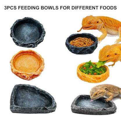 Bearded Dragon Tank Accessories Kit – 10pcs Reptile Water Food Bowl, Feeding Tongs with Rubber Tip, Grooming & Cleaning Set for Lizards, Geckos & Small Reptiles