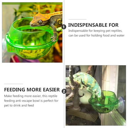 Healifty 4pcs Reptile Feeder and Drink Bowl with Suction Cup, Climbing Lizard Food Dish for Terrarium, Suitable for Chameleon, Gecko, and Bearded Dragon Feeding