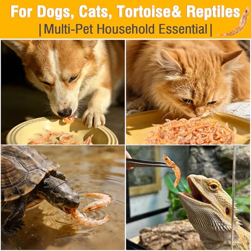 Antarctic Krill Oil Omega-3 Freeze Dried Treats for Cats, Dogs, Turtles & Fish – Premium Aquatic Turtle Food, Healthy Freeze Dried Cat Snacks, Natural Fish Food, 1.7oz