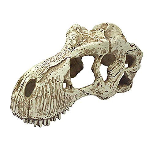 Komodo T-Rex Skull - Large