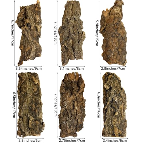 VCEPJH 2 Pack Reptile Wood Branches, Snake Climbing Branch and Cork Bark for Reptiles, 6 Pcs Natural Cork Flats for Snakes Spiders Bearded Dragons