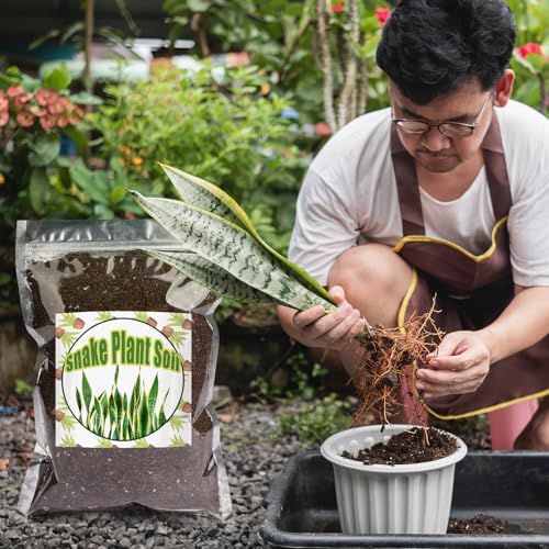 Doter Premium Snake Plant Soil Mix 10qt, Indoor Plants Potting Mix for All Potted Snake Plants, Promote Healthy Growth and Easy Care, black - size: 10qt