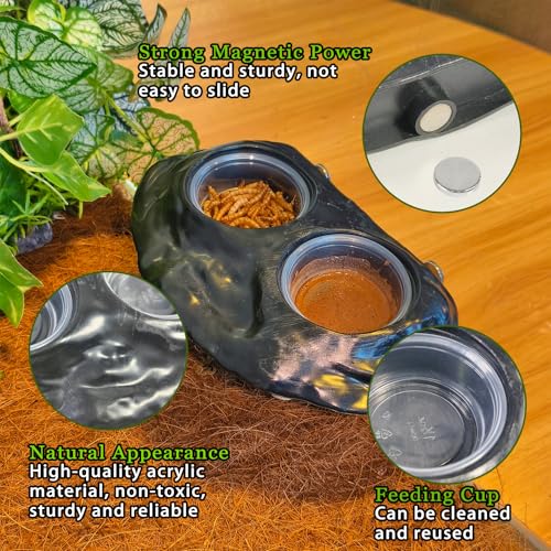 Tfwadmx Magnetic Reptile Feeder Ledge, Gecko Feeder Ledge with 4 Cups Reptile Feeding Bowl Terrarium Accessories for Geckos Lizards Chameleons Frog (Black) - color: Black