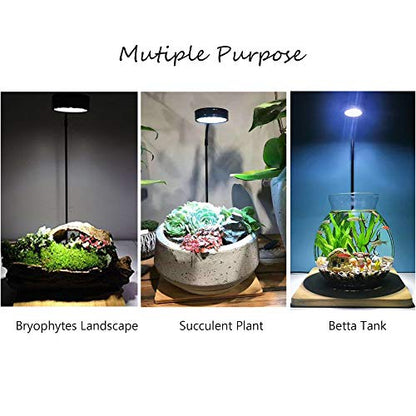 Height Adjustable Full Spectrum Nano LED Light, fits Nano Tanks, Wabi kusa, Potted Plants, Betta Tanks