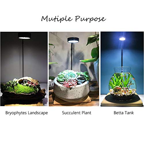 Full Spectrum LED Light with Bamboo Board, Fits Aquarium Nano Tank, Betta Fish Tank, Potted Plants, Succulents, Miniature Landscape – 9W - size: 9W