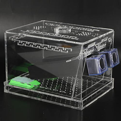 Acrylic Cricket Feed Box with Observation Window for Reptile Terrarium Insect Care Kit, Non-Toxic Material for Easy Cleaning, Tank Box for - size: L