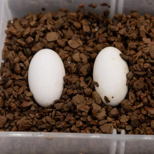 Pangea Hatch Premium Reptile Egg Incubation Substrate (1 lb) - size: 1 lb