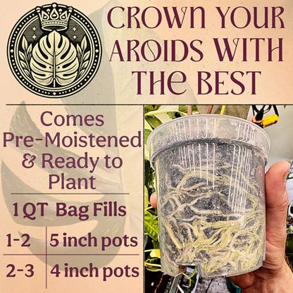 Craft Aroid Potting Mix- Elite Organic Alocasia, Philodendron, Monstera Soil Mix, Chunky, Well Draining Potting Soil for Indoor Plants, All Tropical Plants & Houseplants, Sustainable & Peat Free 1QT - size: 1 Quart