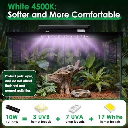 UVB Light for Reptiles, 10W HO LED UVB Reptile Light Fixture UVA UVB Lamp Bulb Terrarium Light with Timer and 5 Adjustable Brightness for Bearded Dragon Turtle Snake Crested Gecko Chameleon, 12 Inch - size: 12 Inch