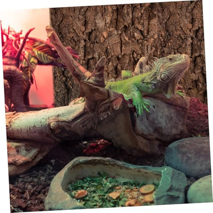 Luxshiny 2 Pcs Natural Cork Bark Aquarium Bark Terrarium Decor for Reptiles and Fish Tanks Climbing and Hiding Spots for Bearded Dragons Lizards Geckos Safe and Easy to Install Wall