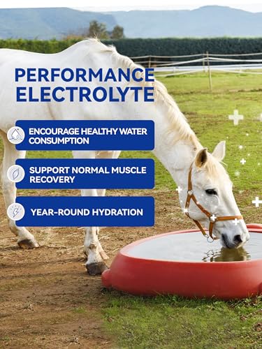 Horse Electrolytes Powder, Electrolyte for Horses with Sodium & Potassium, Equine Hydration Supplement-1400g - size: Big Tub