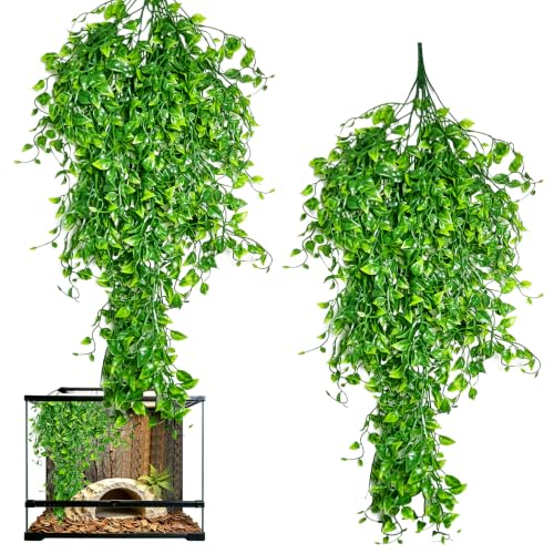 Hamiledyi Reptile Plants Tank Habitat Decorations 2 Pcs Artificial Leaves Habitat Decorations with Suction Cup Fake Hanging Vines for Bearded Dragon, Leopard Gecko, Lizard, Chameleon, Snake - color: 2 Pcs 31.8 Inches Greenreptile Plants