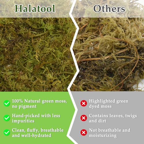 Halatool 1.1 LB Sphagnum Moss for Reptiles - Green Terrarium Moss | Expands to 25 QT, Reptile Bedding for Snakes, Tortoises, Geckos, Lizards, Humidity Retention & Temperature Buffering - size: 1.1LB