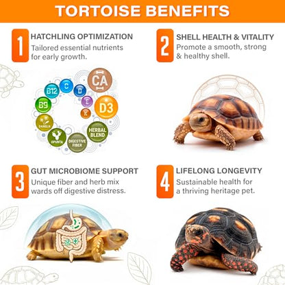 Gargeer Little Sprint Juvenile Tortoise Growth Support Supplement 3oz, Calcium, Vitamins & Amino Acids for Hatchling Sulcata, Russian, Hermann's & All Young Tortoises Species. Made in the USA. Enjoy!