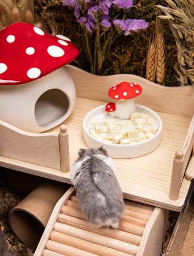 Niteangel Hamster Feeding & Water Bowls- Mushroom Ceramics Series Food Dish Feeding Bowls for Dwarf Syrian Hamsters Gerbils Mice Rats or Other Similar-Sized Small Pets (Feeding Bowl) - size: Feeding Bowl