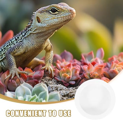 Ceramic Reptile Feeding Bowls Feeding Supplies 2 Pcs Round Food and Water Dishes with Stable Desktop Standing and Anti-Escape Design for Small Lizards and Reptiles