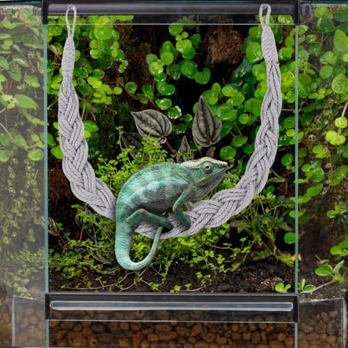 Reptile Vines Toys Hermit – Lightweight Crab Tank Terrarium Accessories, Modern, High-Performance, Climbing Jute Rope, Ladder Lizards Geckos Snakes | Lizards Geckos Snakes - color: Gray