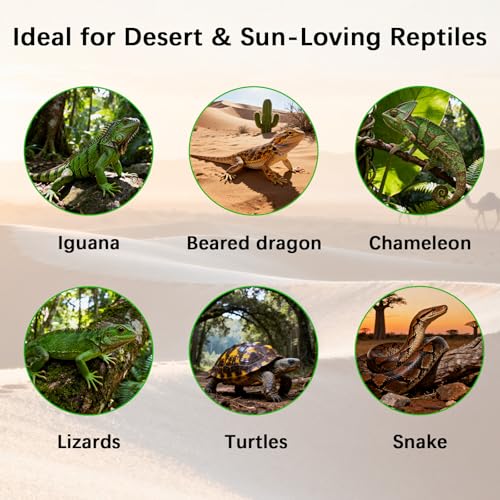 T8 UVB Reptile Light Fixture HO UVB Bulb Lighting Combo Kit, 10.0 UVB Light for Reptiles Terrarium Hood UVA UVB Desert Lamp for Bearded Dragon Turtle Tank (T8 20W 24Inch) - size: 24Inch