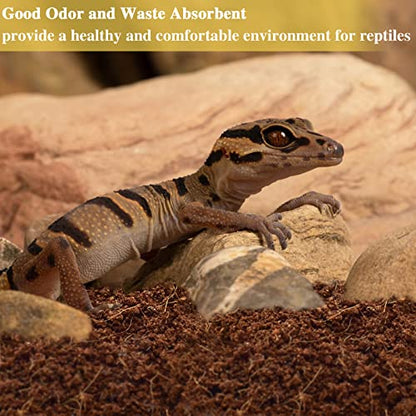 ZeeDix 6 Pack Coconut Fiber Substrate, 100% Organic Coconut Husk Coco Coir Brick Terrarium Bedding for Reptiles, Tortoise, Bearded Dragon, Leopard Gecko, Snake, Hermit Crabs, Frogs, Tarantula - color: 6pcs