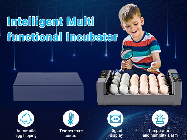 Gpeng Egg Incubator, 24 Eggs Incubator with Digital Display, Auto Egg-Turning, Auto Temperature Control, for Hatching Chicken Goose Pigeon Quail Duck - size: 24-Eggs